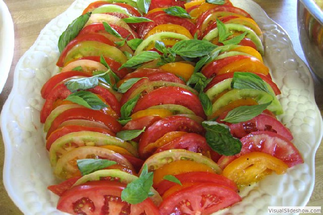 Tomato Basil Salad